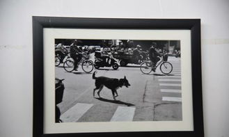 将毕业展办成艺博会 山东工艺美术学院2015设计艺术博览会工艺美术设计展的革新实践